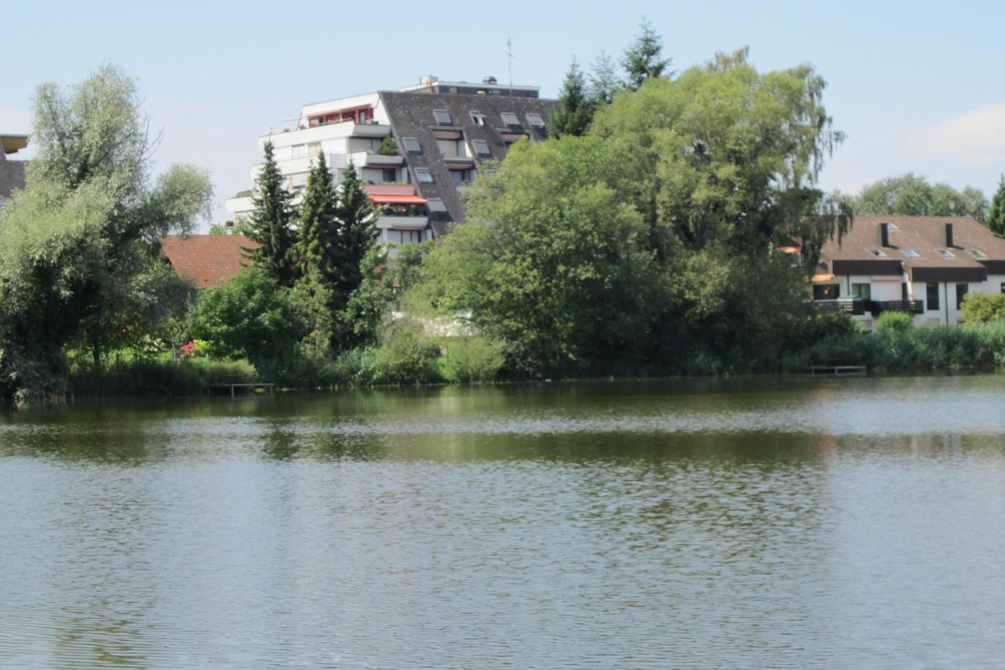 Ferienwohnung Am Weiher Meersburg